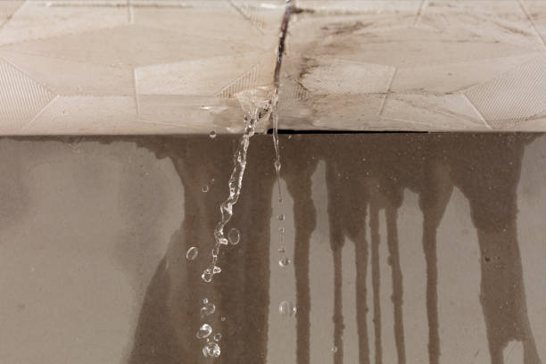 Professional Sewage Cleanup technician working in Wills Point, TX